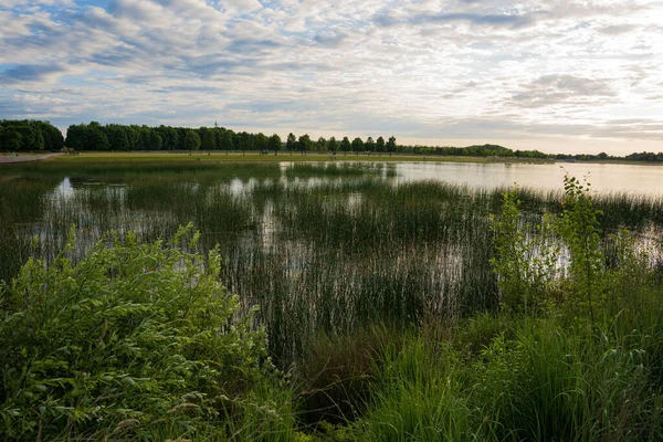 Una Vista Panorámica Lago Que Refleja Árboles Verdes Hierba Orilla — Foto de Stock