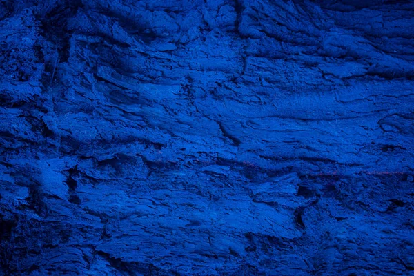 Close Shot Tree Trunk Turned Blue Image Can Used Backgrou — Stock Photo, Image
