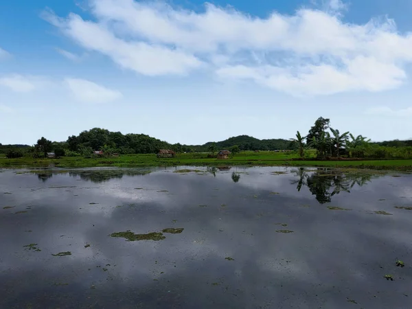 Een Prachtig Uitzicht Het Meer Naast Het Groene Veld Met — Stockfoto