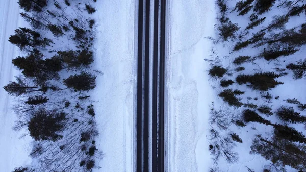 Karlı Bir Tarlada Çam Ağaçlarıyla Yol Manzarası — Stok fotoğraf
