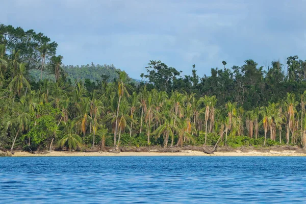 Una Splendida Vista Delle Palme Una Spiaggia Sabbiosa Nelle Filippine — Foto Stock
