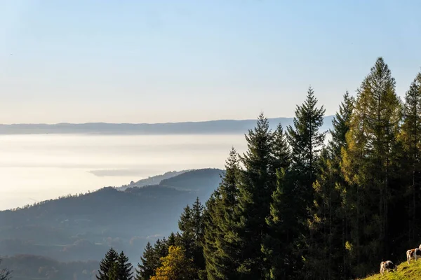 Vue Paysage Lac Geneva Mont Pelerin Vers Lausanne — Photo