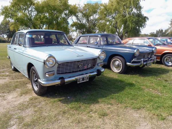 Старый Белый Популярный Седан Peugeot 404 1960 1975 Сельской Местности — стоковое фото