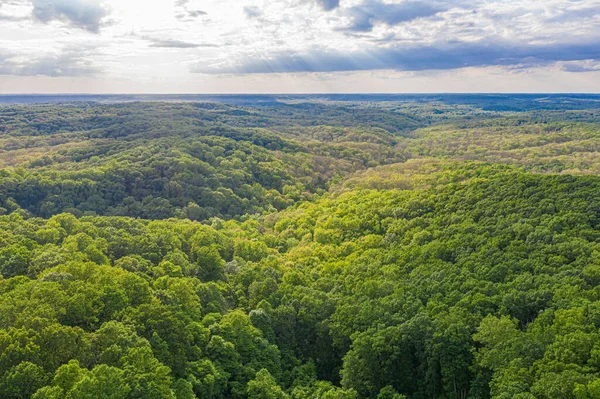 Krásná Letní Krajina Hustou Zelenou Vegetací Proti Zatažené Obloze Brown — Stock fotografie