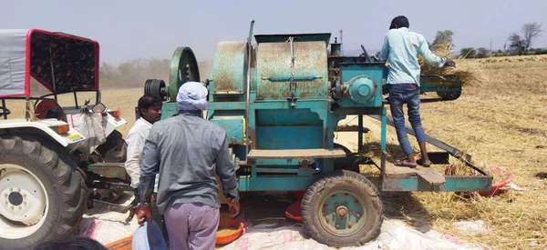 Madhya Pradesh India March 2022 Harvesting Wheat Crop Workers Separating — Stock Photo, Image