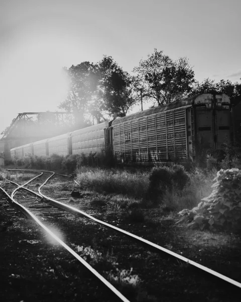 Vertical Grayscale Shot Railway Tracks Gloomy Rural Area — Stock Photo, Image