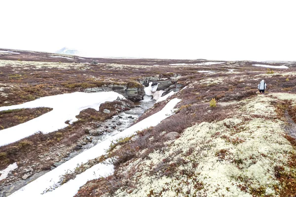 View River Surrounded Wild Landscape Snow Melting Time — Stock Photo, Image