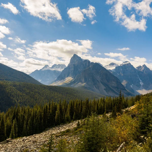 Piękny Widok Gęste Zielone Drzewa Góry Alberta Zachodniej Kanadzie — Zdjęcie stockowe