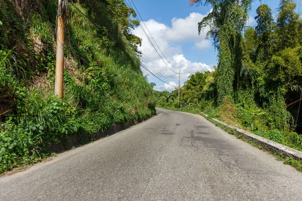 Asfalterad Väg Genom Gröna Skogar Och Berg Jamaica — Stockfoto