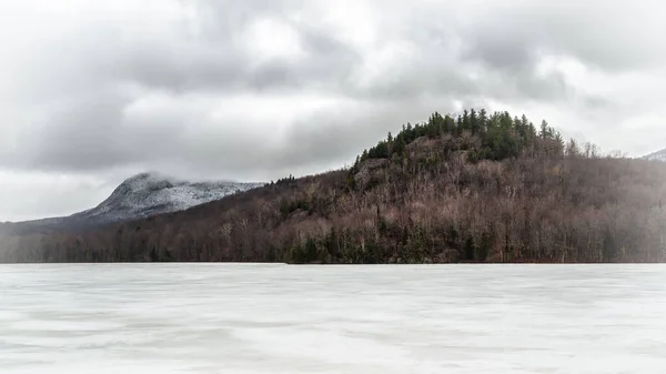 Une Forêt Dense Sur Une Colline Sur Rivage Par Matin — Photo