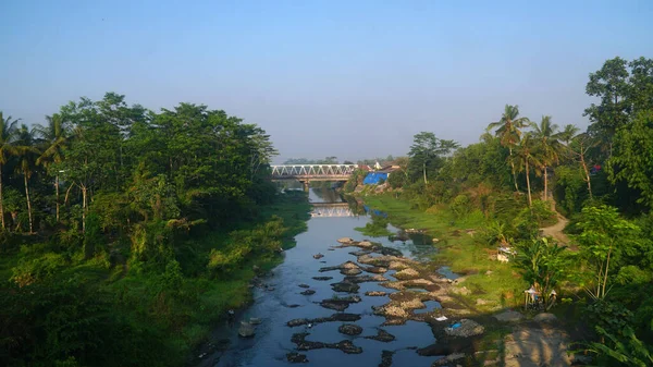 Drone Shot River Surrounded Trees Daytime — Stock fotografie