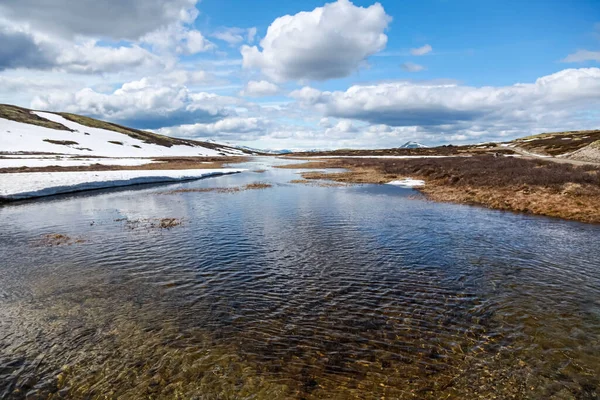 Ein Malerischer Blick Auf Einen Fluss Der Einer Ländlichen Gegend — Stockfoto