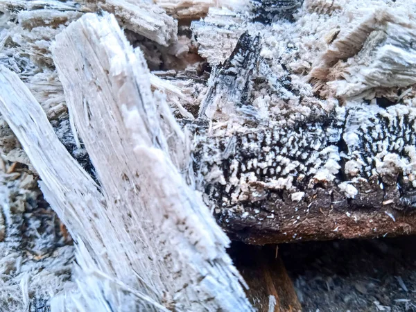 Carbón Leña Ardiendo Una Estufa Tradicional Aran — Foto de Stock