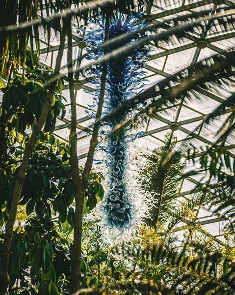 Függőleges Szelektív Fókusz Felvétel Kék Echium Pininana Növény Mögött Zöld — Stock Fotó