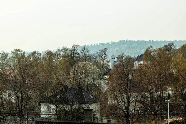 Una Vista Aérea Las Casas Rodeadas Bosques —  Fotos de Stock