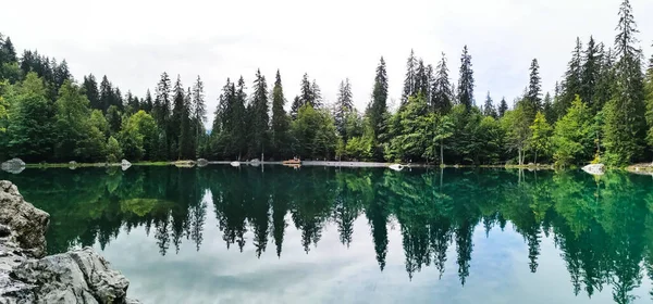 Plan Eau Réfléchissant Les Sapins Environnants Sous Lumière Soleil — Photo