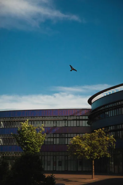 昼間の建物の外観の垂直ショット — ストック写真