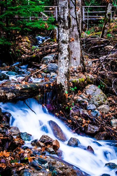 Vertikální Záběr Vodopádu Lese Během Podzimního Dne — Stock fotografie