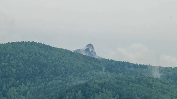 Widok Filary Krasnojarskie Stolby Park Narodowy Dołu Pięknym Zielonym Lasem — Zdjęcie stockowe