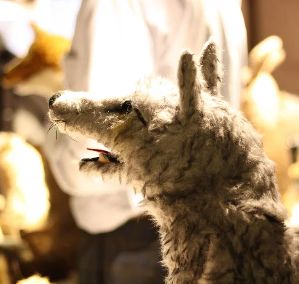 Nahaufnahme Eines Flauschigen Wolfsspielzeugs Laden — Stockfoto