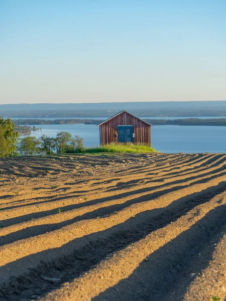 瑞典草地上的小木屋的美丽景色 — 图库照片