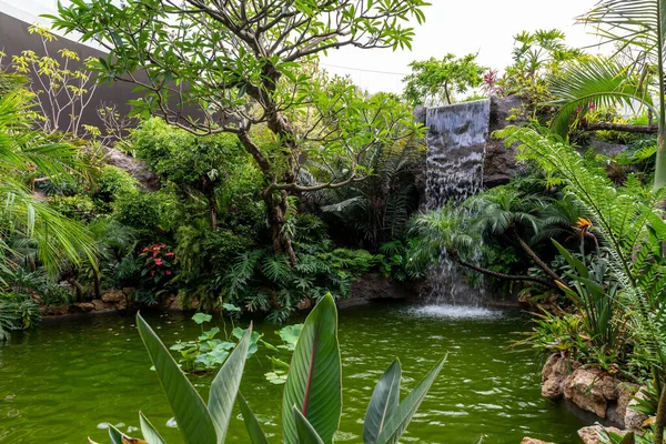 초목으로 둘러싸인 정원의 아름다운 — 스톡 사진