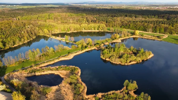 緑に囲まれた湖と美しい夏の風景 — ストック写真