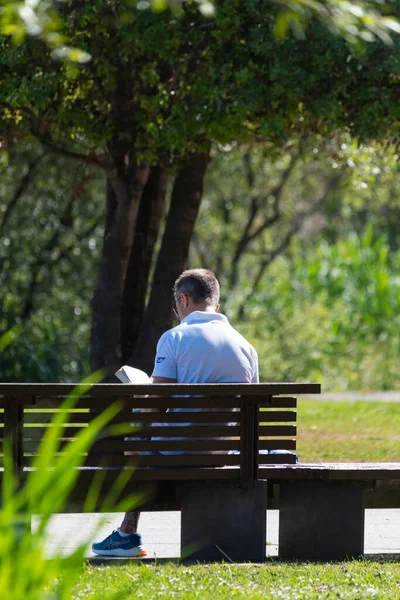 Człowiek Czytający Książkę Ławce Parku Zieloną Trawą Drzewami — Zdjęcie stockowe