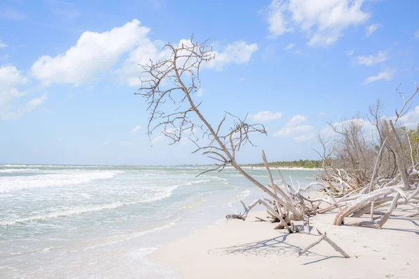 Napoli Florida Güzel Bir Vanderbilt Sahili Manzarası — Stok fotoğraf