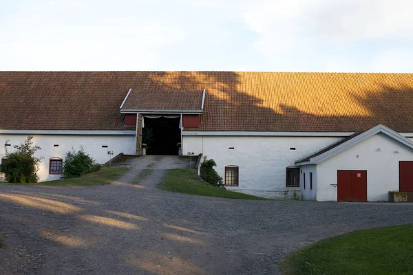 Farma Stodół Cieniami Drzew Dachach Kafelków Norwegii — Zdjęcie stockowe