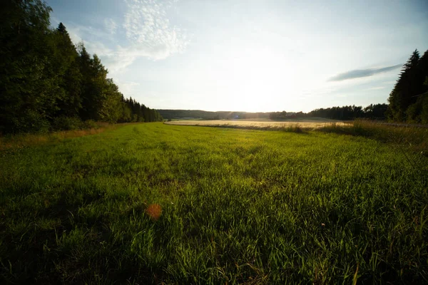 Dech Beroucí Pohled Slunce Modré Zamračené Obloze Oteplující Svěží Zelené — Stock fotografie