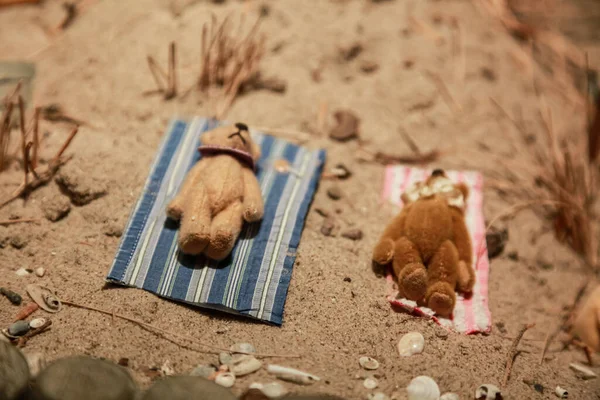 Skagen Teddy Bear Museum Orsacchiotti Nelle Situazioni Più Diverse Sulla — Foto Stock