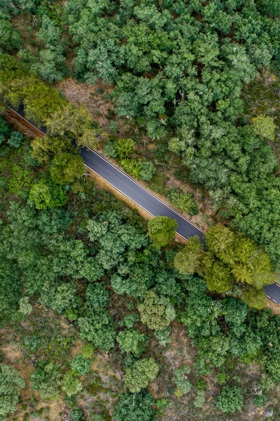 橡树间的山路无人驾驶飞机俯瞰图 — 图库照片