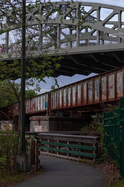 Een Verticaal Schot Van Het Charles River Fietspad Bij Boston — Stockfoto