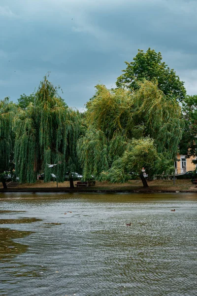 Central Park Taki Cluj Napoca Şehrinin Merkezindeki Kumarhane Gölü Yakınlarındaki — Stok fotoğraf
