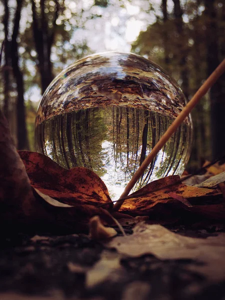 Vertical Shot Trees Reflected Glass Ball — Stock Photo, Image