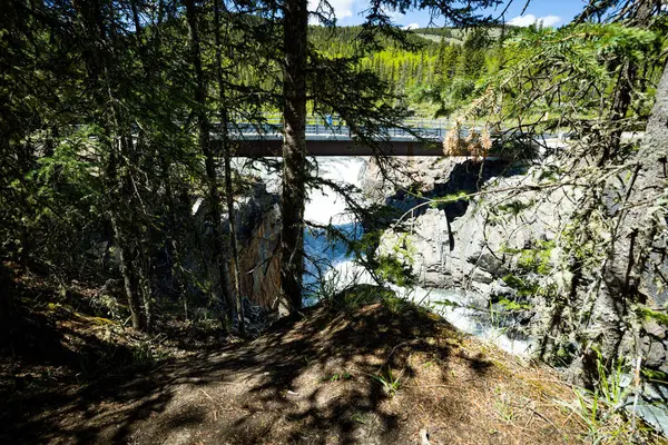 Eine Brücke Über Einen Fluss Auf Klippen Wald — Stockfoto