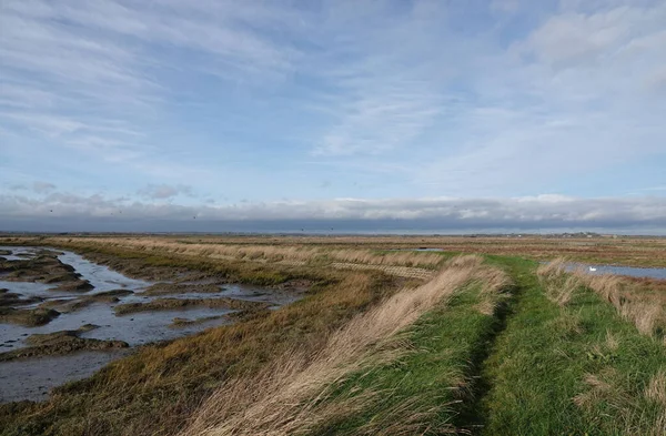 Footpath Marshland Old Hall Marshes Essex Cloudy Blue Sky Horizon — Stock Photo, Image