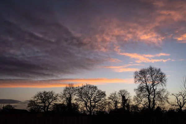 夕暮れ時の曇りの空の下での裸の木の風景 — ストック写真