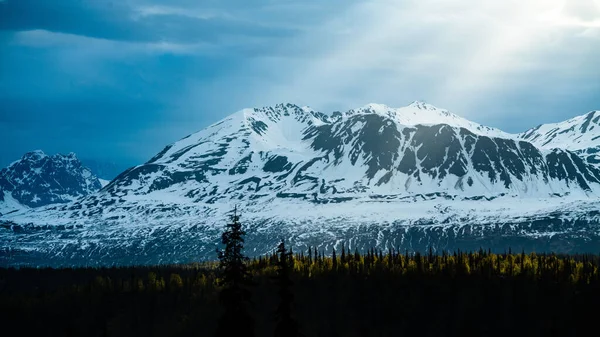 手前に木々が茂る雪山連山の絶景 — ストック写真