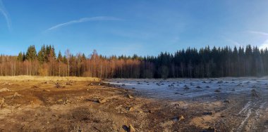 Güneşli mavi gökyüzünün altında, arka planda sık ağaçlar olan kurumuş bir bataklık.