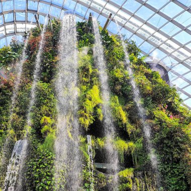 Singapur Körfezi yakınlarındaki Bahçelerde Yeşil Bulut Ormanı 'nın alçak açısı.