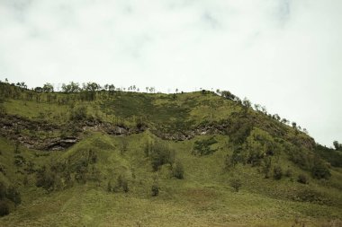 Bir dağın yeşil yamacının güzel manzarası