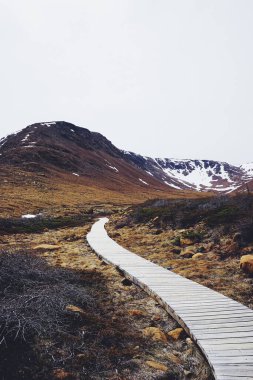 Sabahleyin dağlık bir bölgede tahta bir patika.