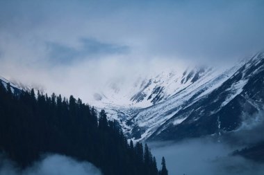 Bulutlu bir günde kar ve çam ormanlarıyla kaplı kayalık bir dağ sırasına yakın çekim.