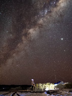 Nefes kesici Samanyolu Galaksisi 'nin dikey çekimi ve manzaraya hayran bir kadın.