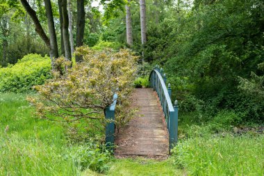 Lilburn Kulesi 'nde Wisteria ile köprü, Wooler, Northumberland, İngiltere yakınlarında, Ulusal Bahçeler Şeması boyunca bir malikane bahçeleri açık.