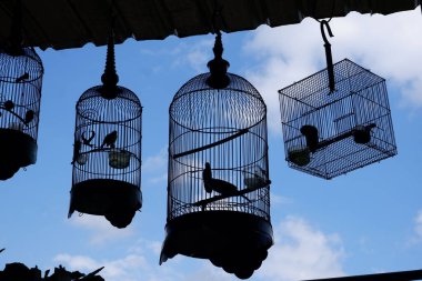 Balkonda asılı güzel bir kuş kafesi fotoğrafı.