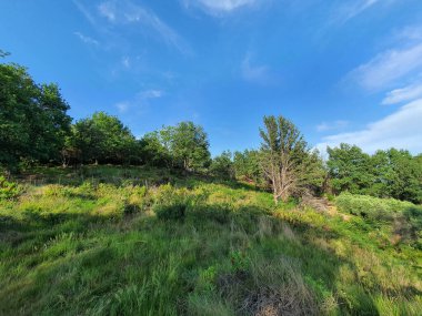 İtalya 'daki Ligurian sahillerinin tipik akdeniz temizliği. Mimari görüntüleme için kullanışlı