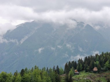 Velika Planina tepesindeki dağ kulübelerinin ya da evlerin manzarası. Aile yürüyüşü için seyahat yeri.